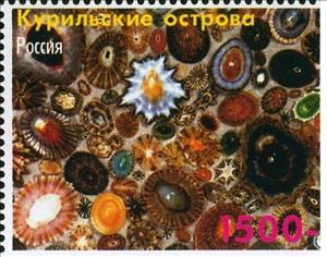Stamp, Shells, Cinderellas,  , Shells