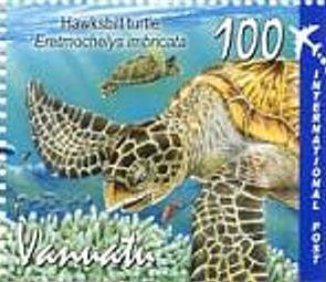 Hawksbill Turtle (Eretmochelys imbricata)