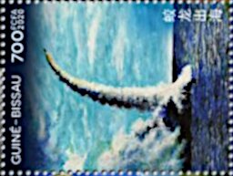 Chinese Space Projects