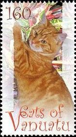 Brown-orange Tabby Cat (Felis silvestris catus)