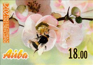 Stamp, Blooming quince, Kyrgyzstan,  , Food, Fruits, Plants (Flora), Trees