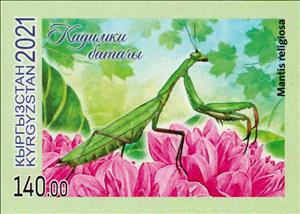 Stamp, European Mantis (Mantis religiosa), Kyrgyzstan,  , Animals (Fauna), Insects