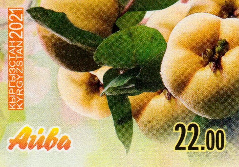 Ripe fruit