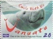 Dugong (Dugong dugon)