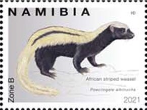 Stamp, African Striped Weasel (Poecilogale albinucha), Namibia,  , Animals (Fauna)