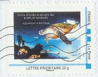 Centre Study and Care of Marine Turtles Aquarium La Rochelle