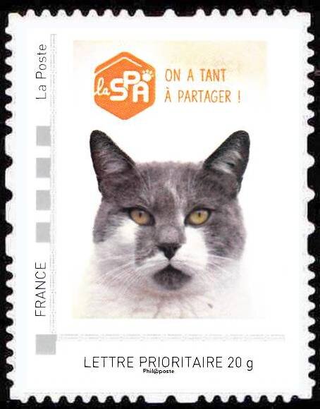 SPA One has so much to share. Cat