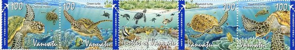 Green Sea Turtle (Chelonia mydas)