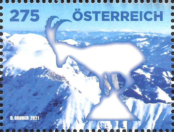 Alpine Ibex (Capra ibex)