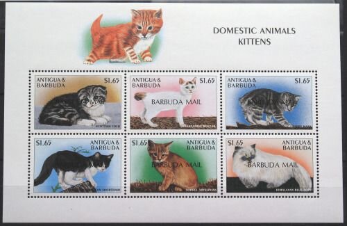 Cats