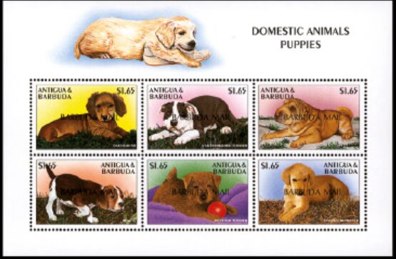 Dogs
