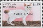 Stamp, Japanese bobtail, Barbuda,  , Animals (Fauna), Cats, Mammals