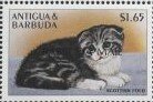Scottish fold