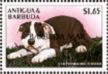 Staffordshire terrier