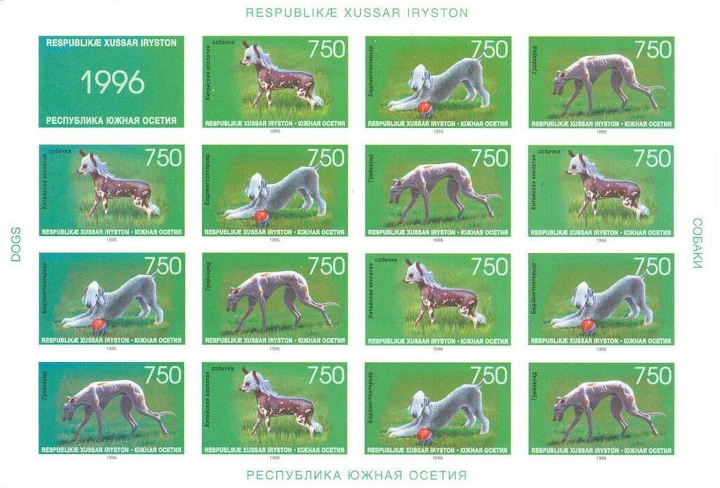 Animals