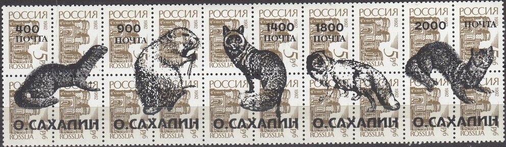 Animals