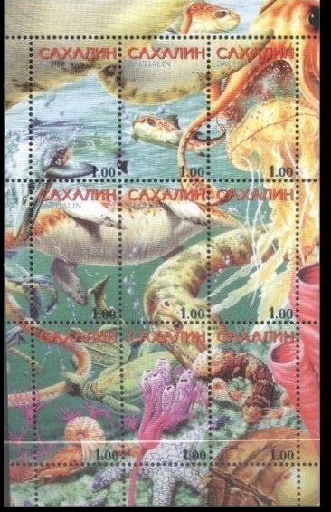 Animals