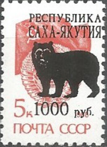Bears