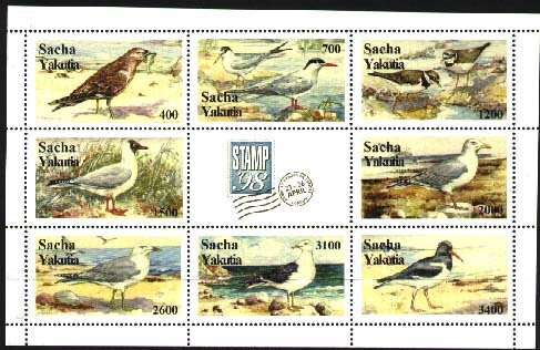 Birds