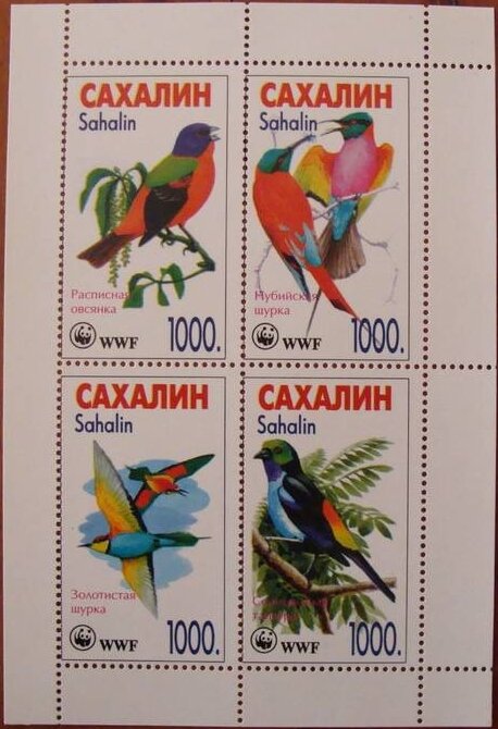 Birds WWF