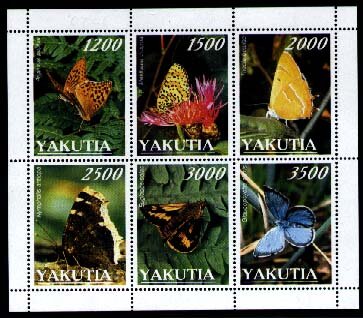 Butterflies