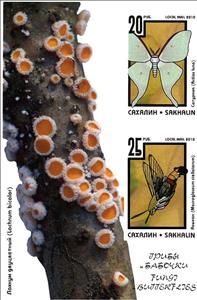 Mini Sheet, Butterflies, Cinderellas,  , Butterflies, Mushrooms