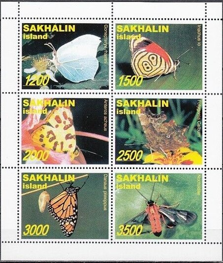 Butterflies