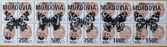 Butterflies WWF