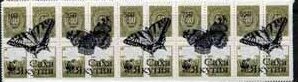 Butterflies WWF