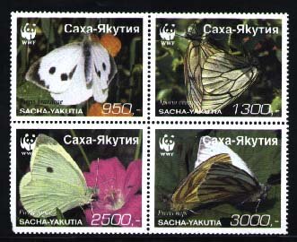 Butterflies WWF