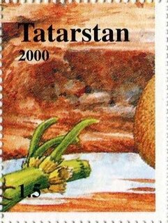 Stamp, Dinosaurs, Cinderellas,  , Dinosaurs, Prehistorical Animals
