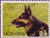 Stamp, Dog, Cinderellas,  , Animals (Fauna), Dogs, Mammals