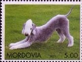 Stamp, Dog, Cinderellas,  , Animals (Fauna), Dogs, Mammals