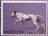 Stamp, Dog, Cinderellas,  , Animals (Fauna), Dogs, Mammals