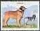 Stamp, Dog, Cinderellas,  , Animals (Fauna), Dogs, Mammals