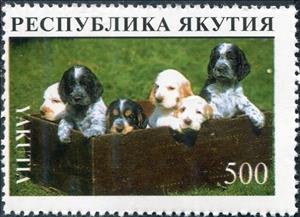 Stamp, Dog, Cinderellas,  , Animals (Fauna), Dogs, Mammals