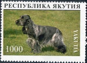 Stamp, Dog, Cinderellas,  , Animals (Fauna), Dogs, Mammals