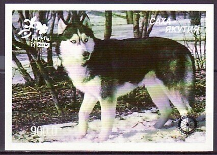 Dog