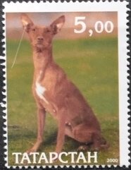 Stamp, Dog, Cinderellas,  , Animals (Fauna), Dogs, Mammals