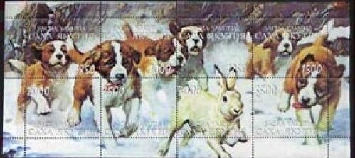 Dogs