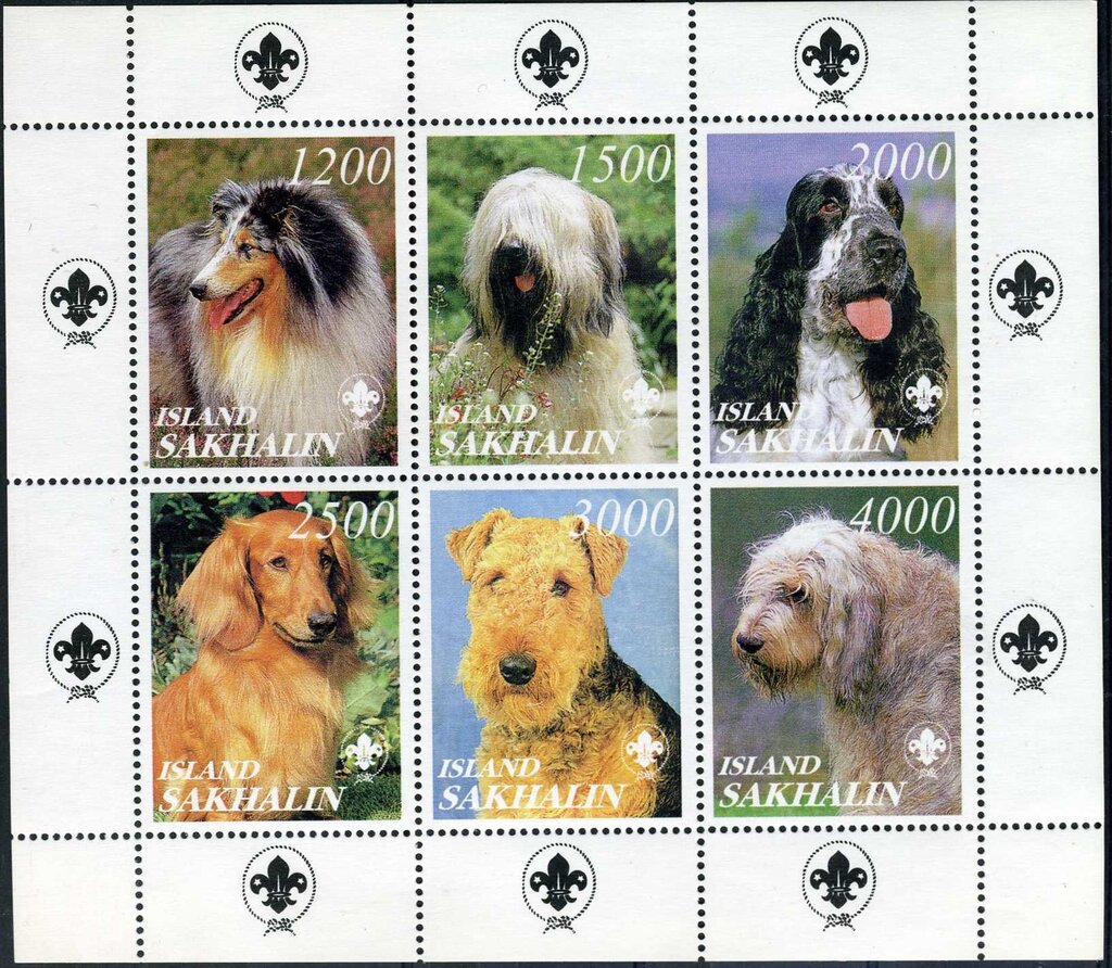 Dogs
