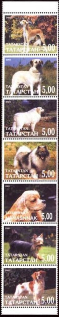 Dogs