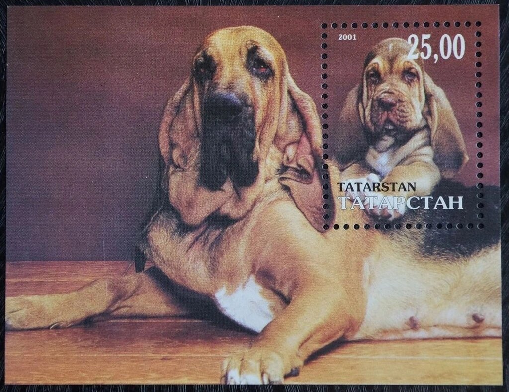 Dogs