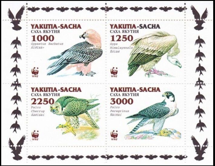 Eagles WWF