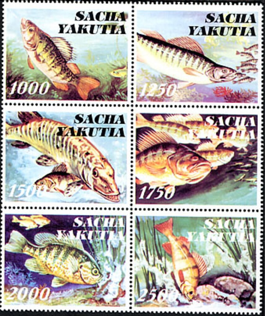 Fishes