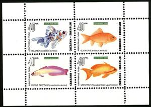 Mini Sheet, Fishes, Cinderellas,  , Animals (Fauna), Fishes