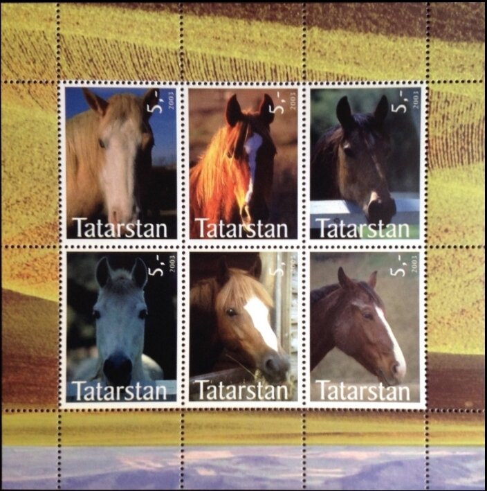 Horses