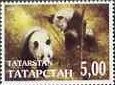 Koalas