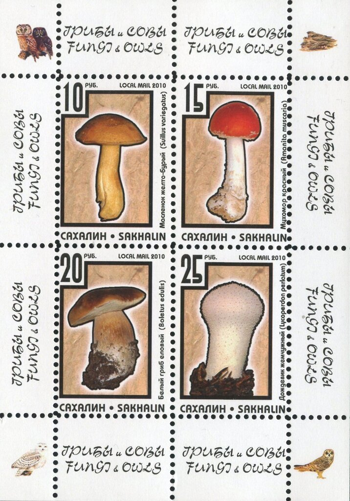 Mushrooms