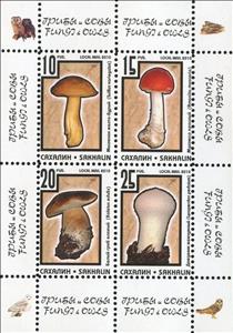 Mini Sheet, Mushrooms, Cinderellas,  , Birds, Mushrooms, Owls